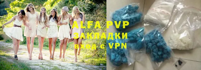 Alfa_PVP СК Ярославль