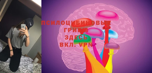 PSILOCYBIN Белокуриха